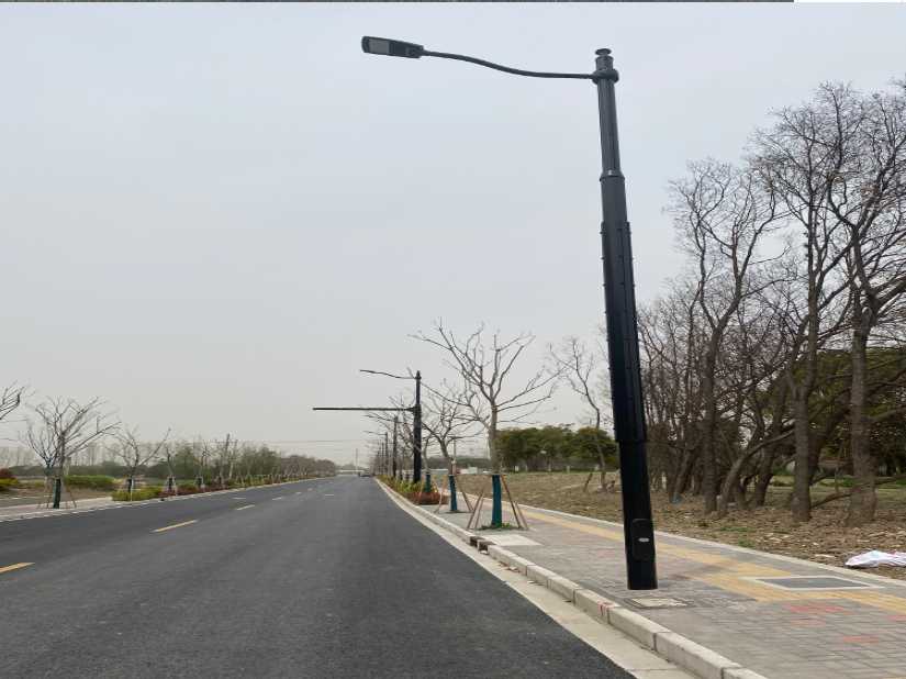 大连市上海综合杆 太阳能路灯工程